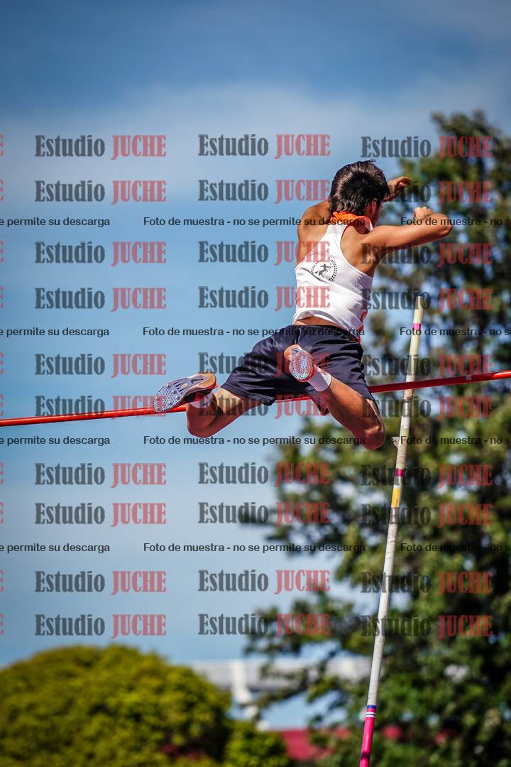 Fotos del salto con garrocha de mujeres y varones