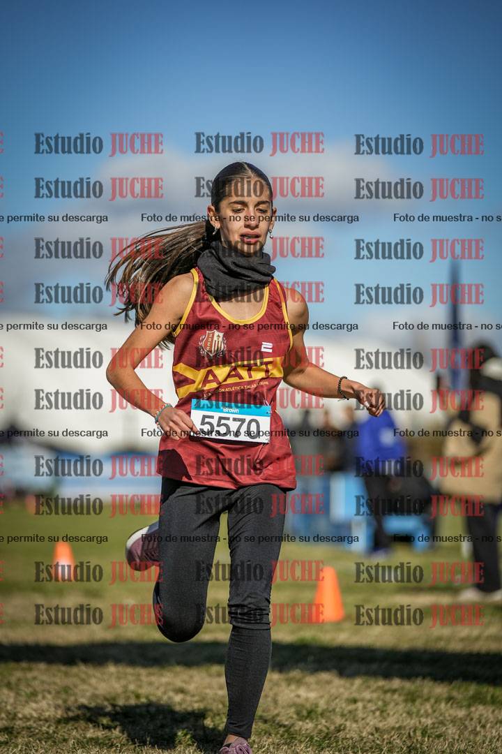 Fotos de las llegadas