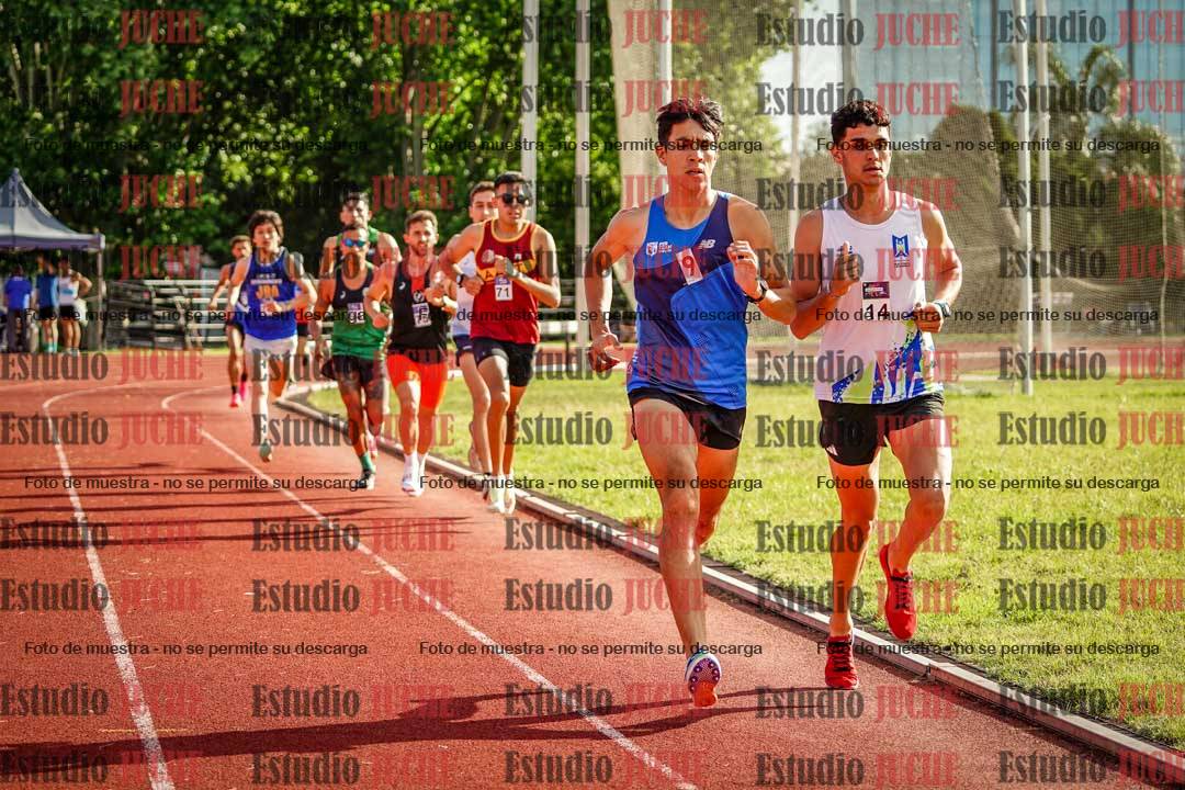 Fotos de los 3000 m llanos de varones
