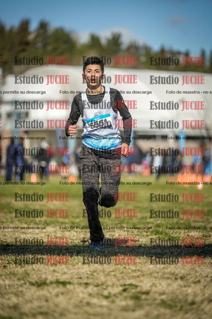 Fotos de las llegadas