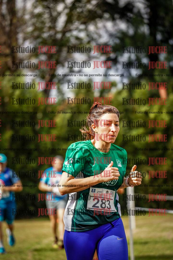 Fotos en el circuito