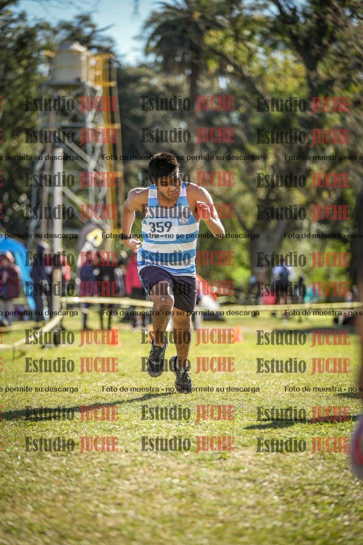 Fotos de la llegada del cross de 8000 m