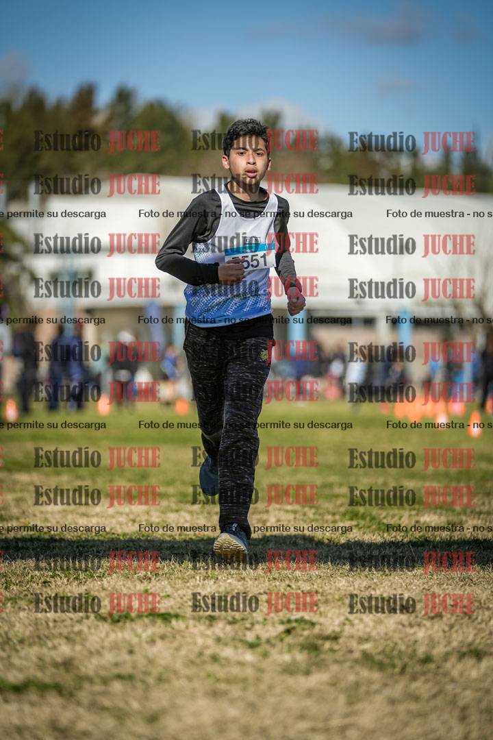 Fotos de las llegadas