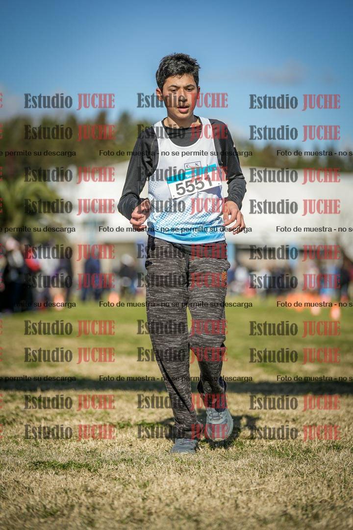 Fotos de las llegadas