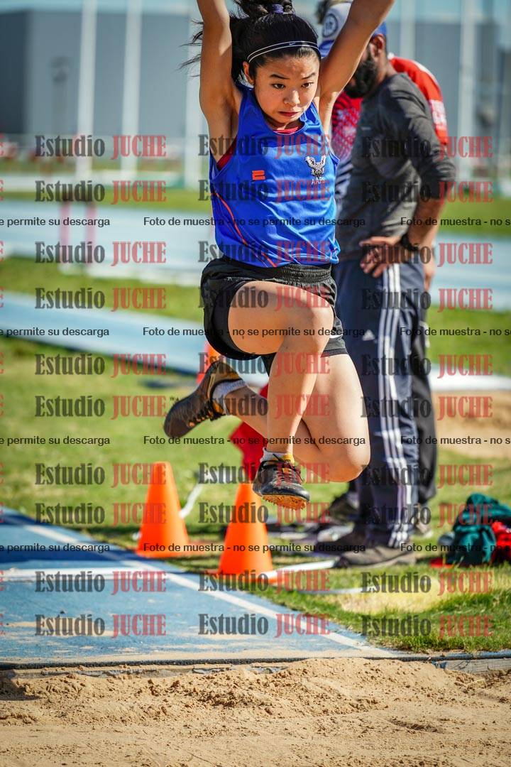 Fotos del salto en largo de mujeres - invitados