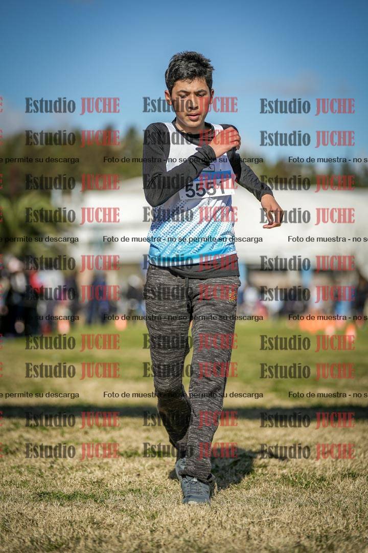 Fotos de las llegadas