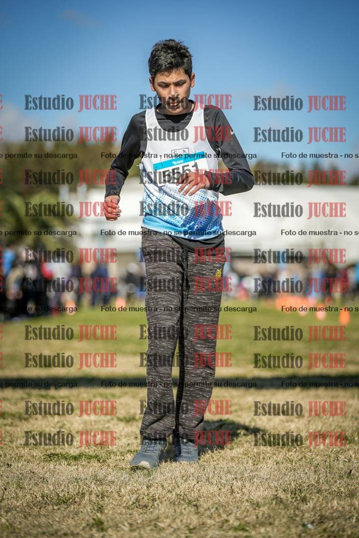 Fotos de las llegadas