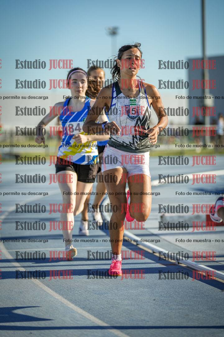Fotos de los 1500 m llanos de mujeres