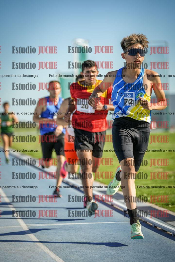 Fotos de los 3000 m llanos de varones