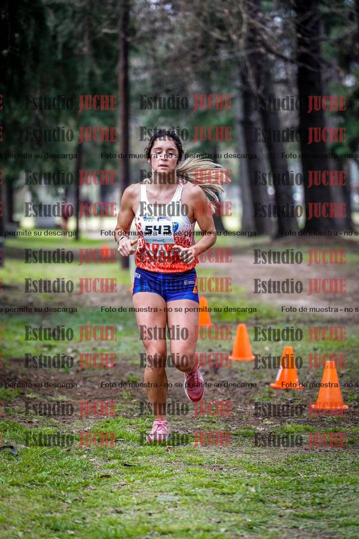 Fotos en el circuito