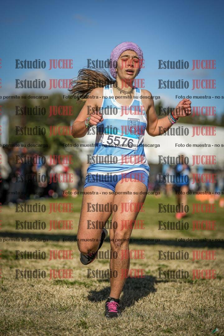 Fotos de las llegadas