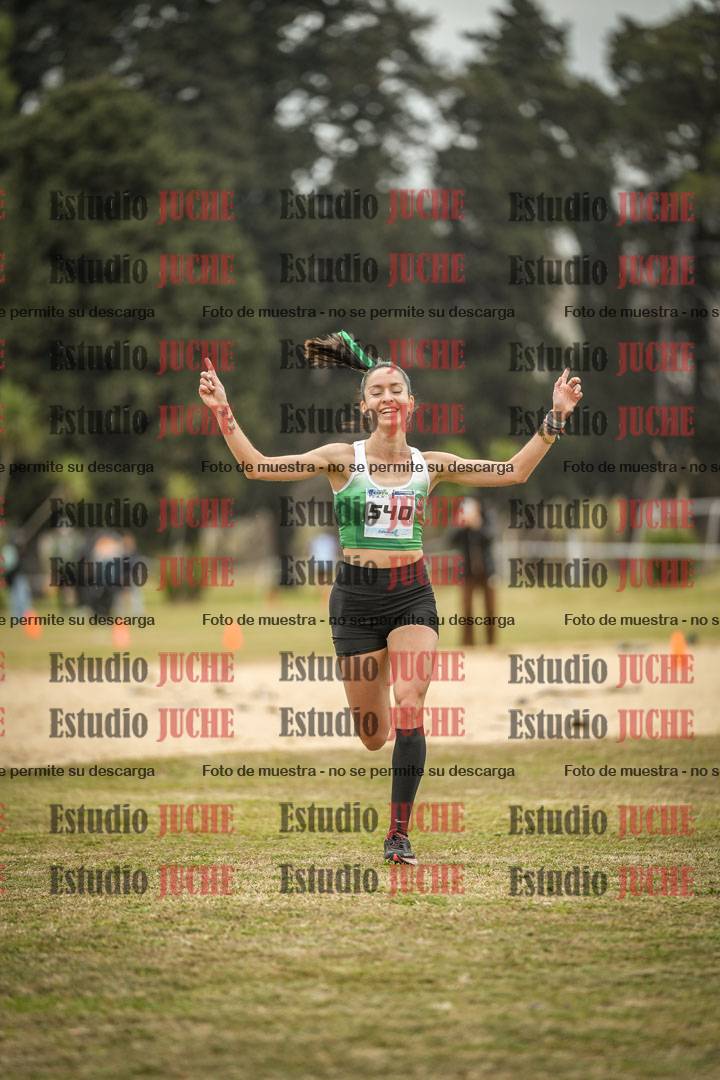 Fotos de la llegada