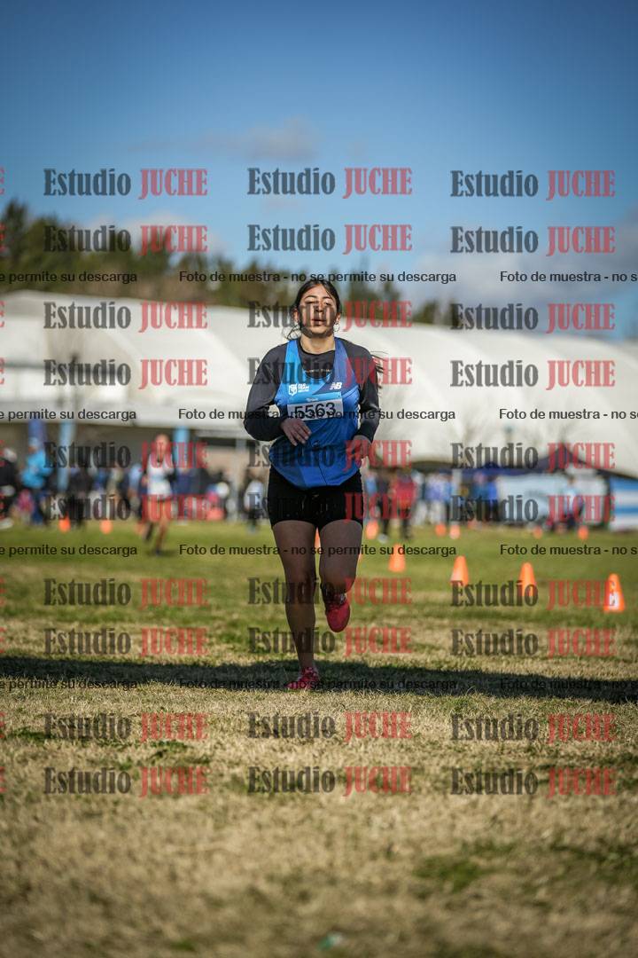 Fotos de las llegadas