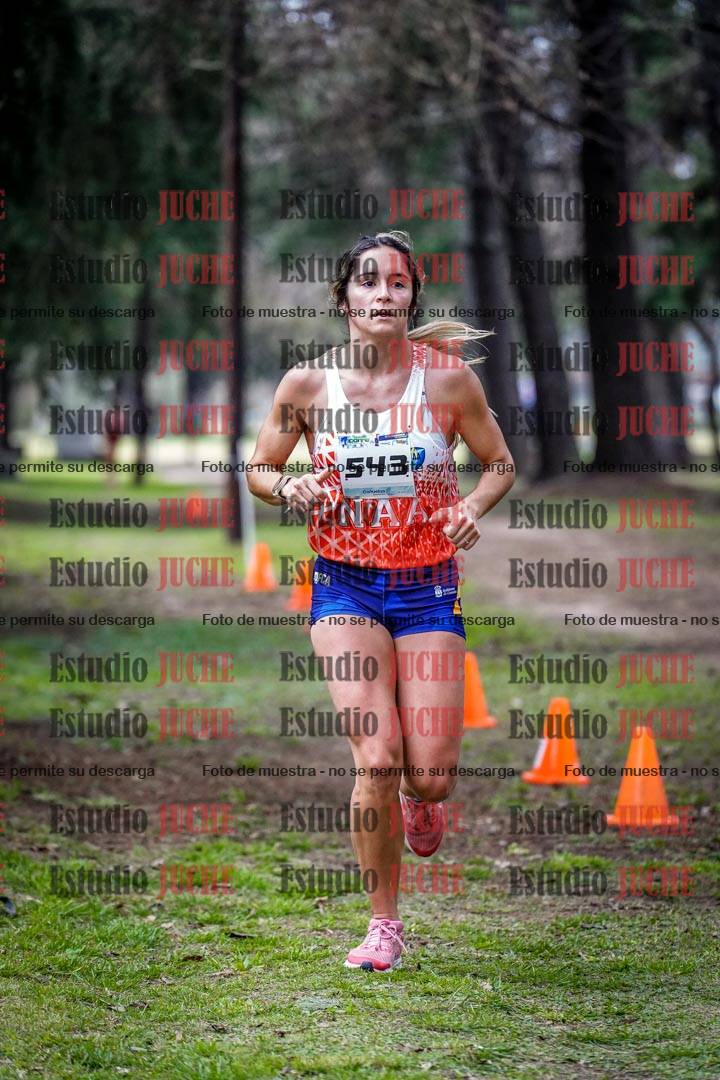 Fotos en el circuito