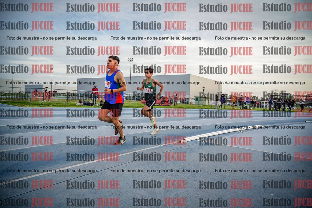 Fotos de los 1500 m llanos de varones