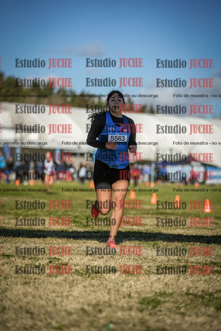 Fotos de las llegadas