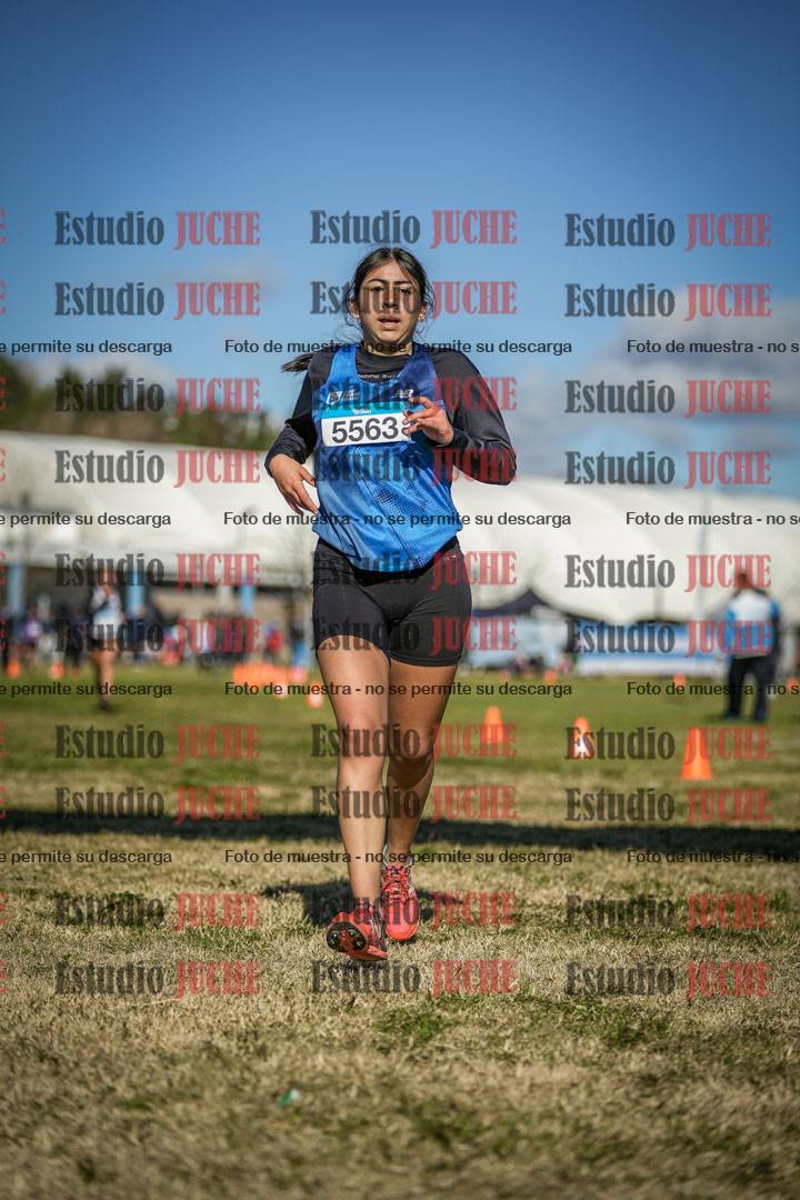 Fotos de las llegadas
