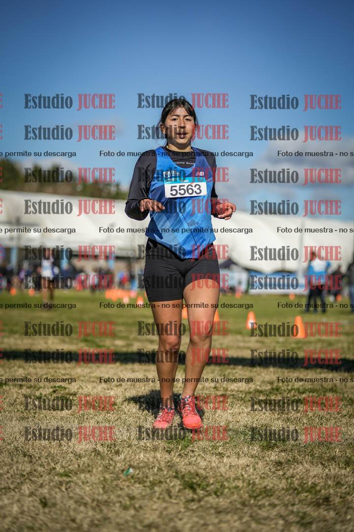 Fotos de las llegadas