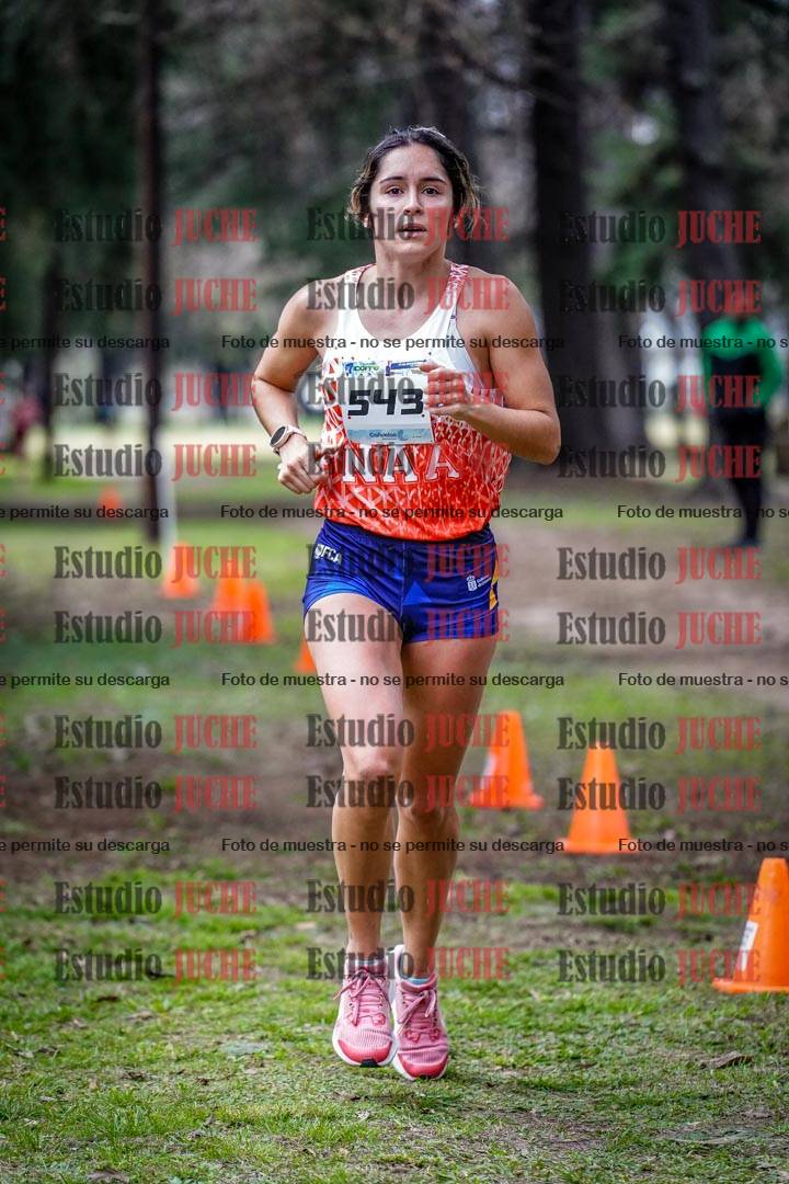 Fotos en el circuito