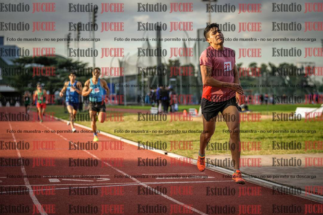 Fotos de los 1500 m llanos de varones
