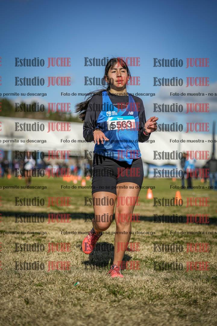 Fotos de las llegadas