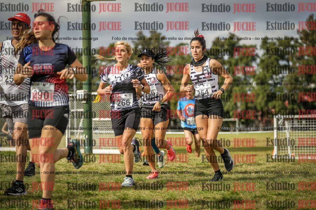 Fotos en el circuito