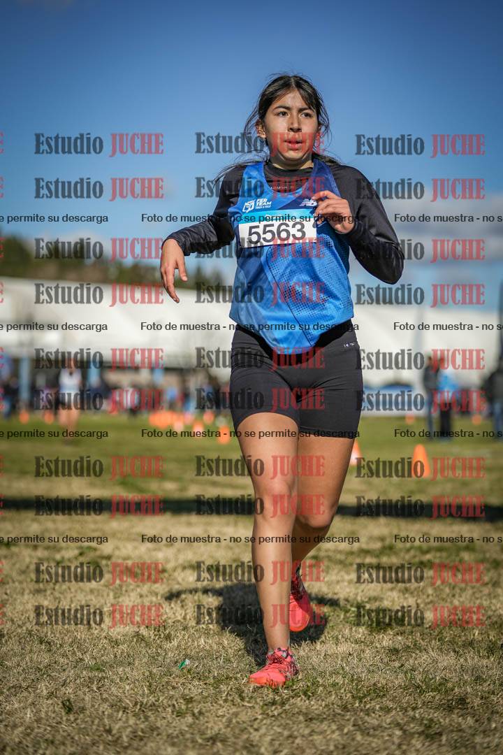 Fotos de las llegadas