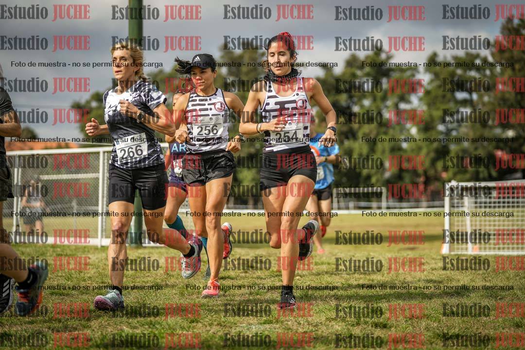 Fotos en el circuito
