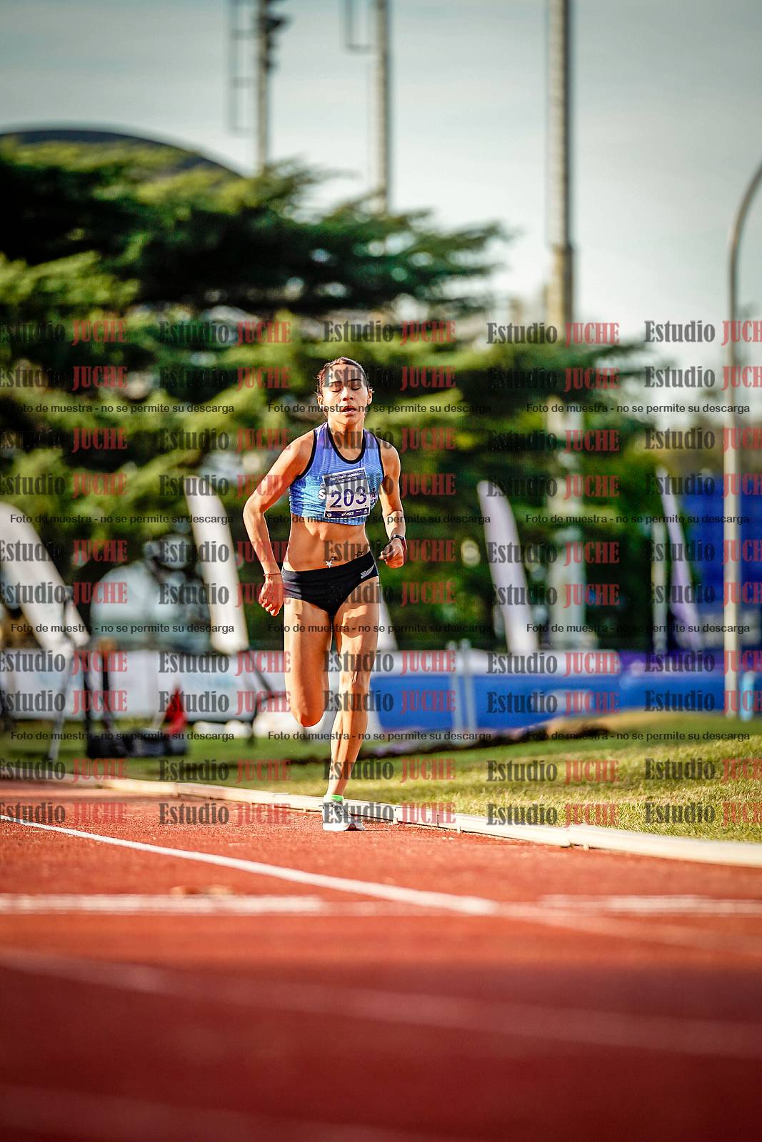 Fotos de los 5000 m de mujeres