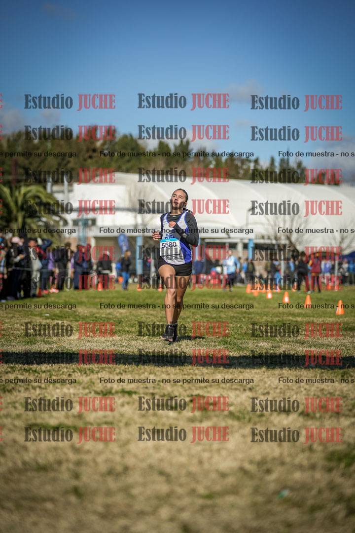 Fotos de las llegadas