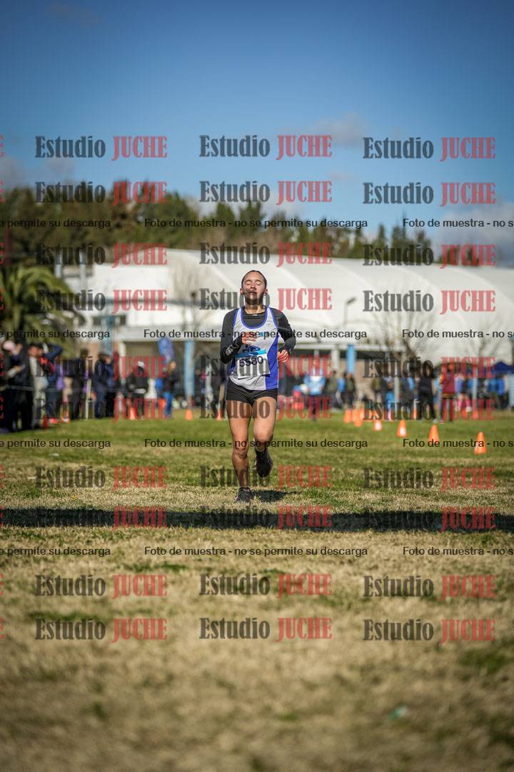 Fotos de las llegadas