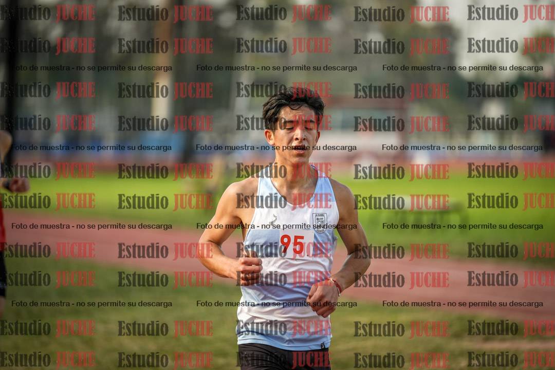 Fotos de los 5000 m llanos