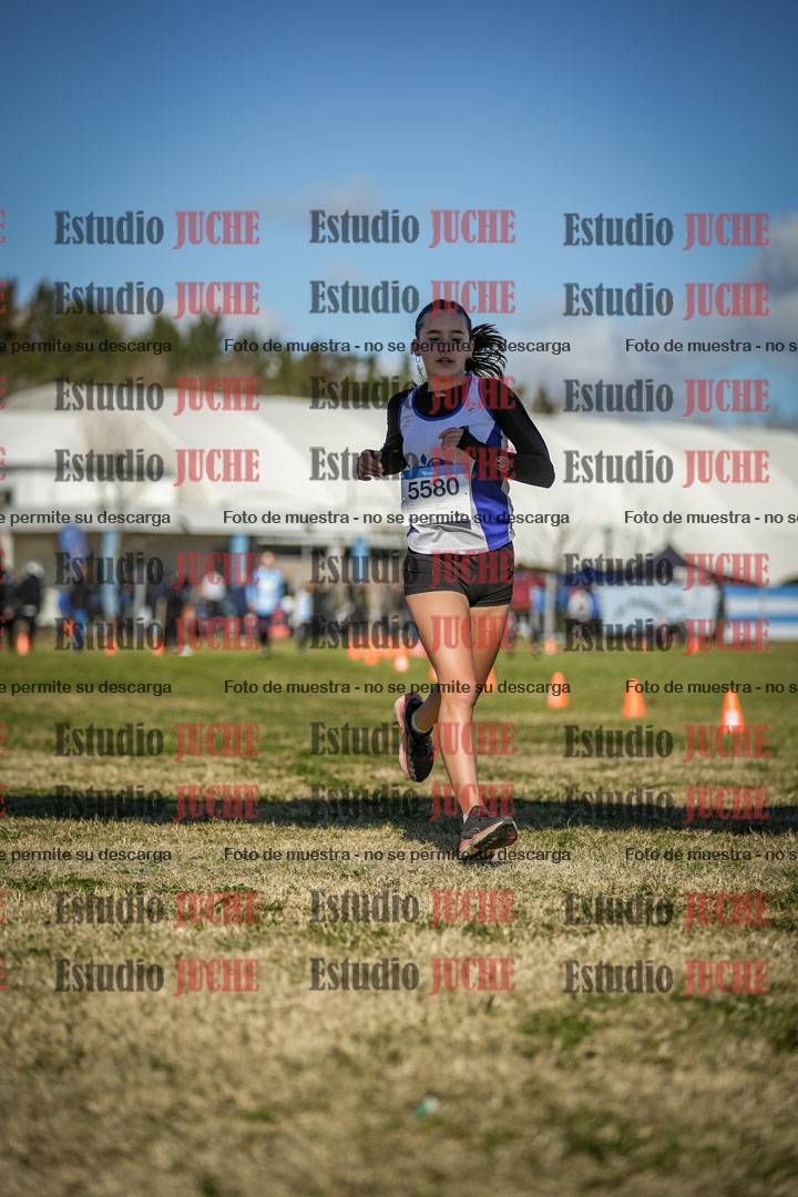 Fotos de las llegadas