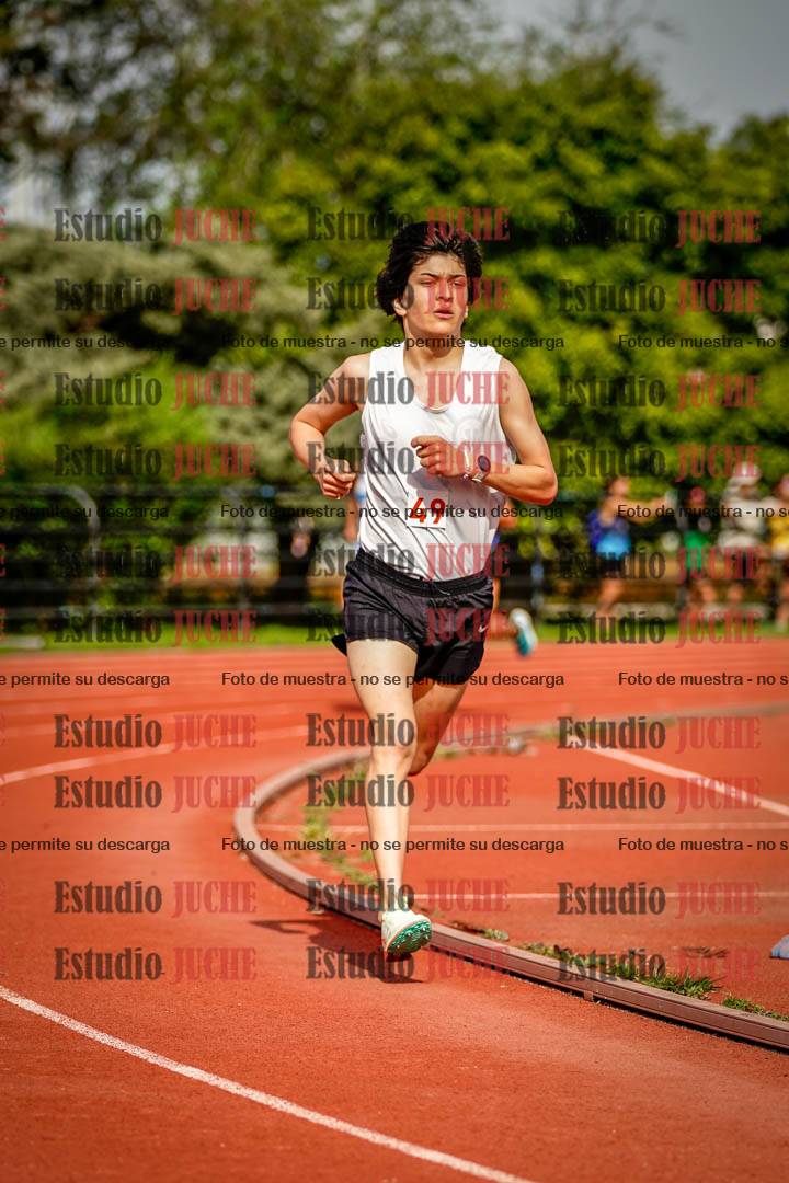 Fotos de los 3000 m llanos de varones
