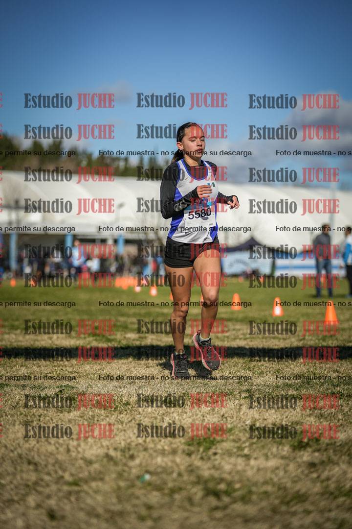 Fotos de las llegadas