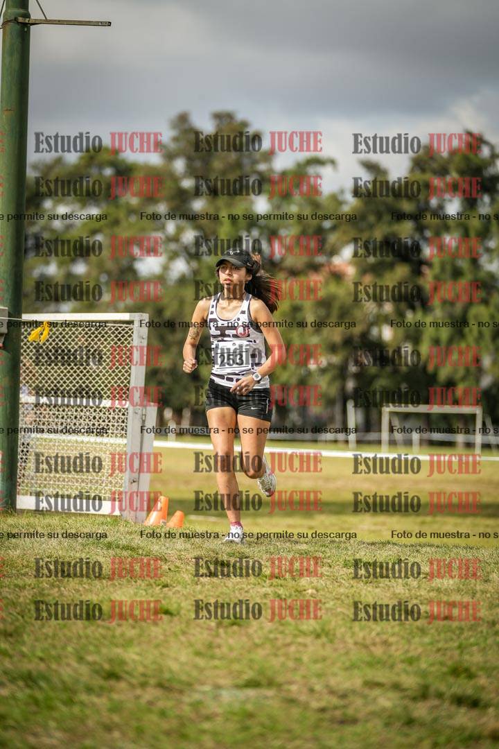 Fotos en el circuito