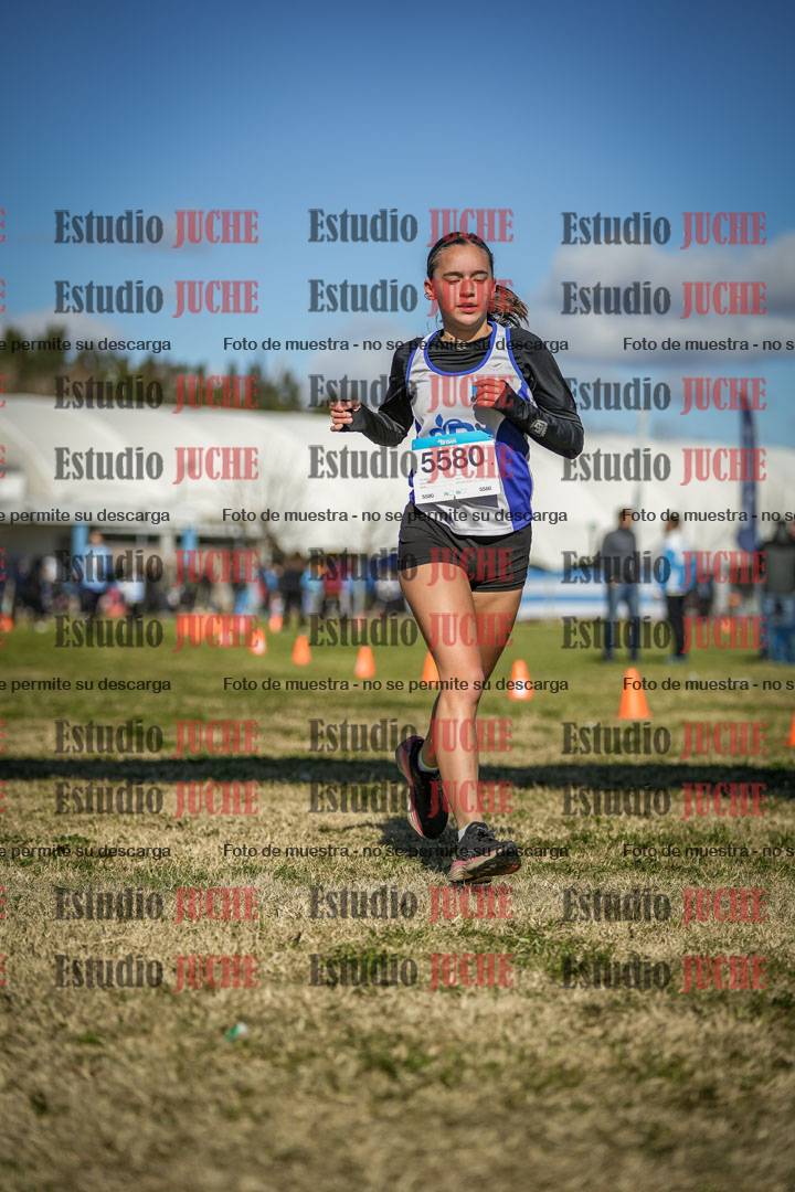 Fotos de las llegadas