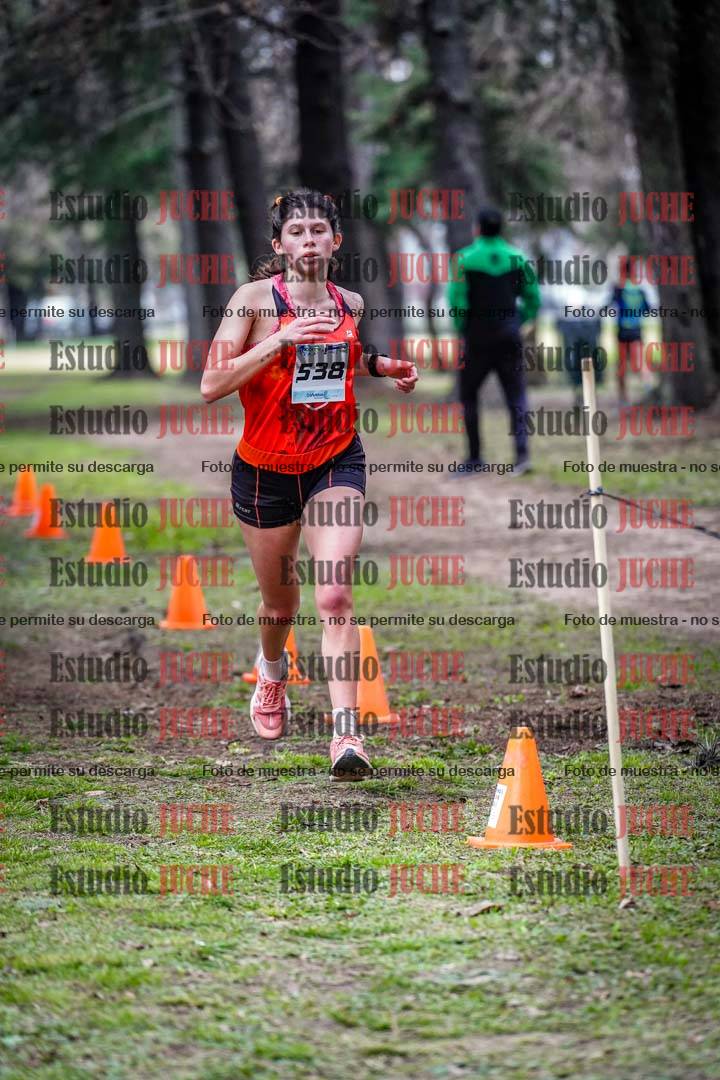 Fotos en el circuito