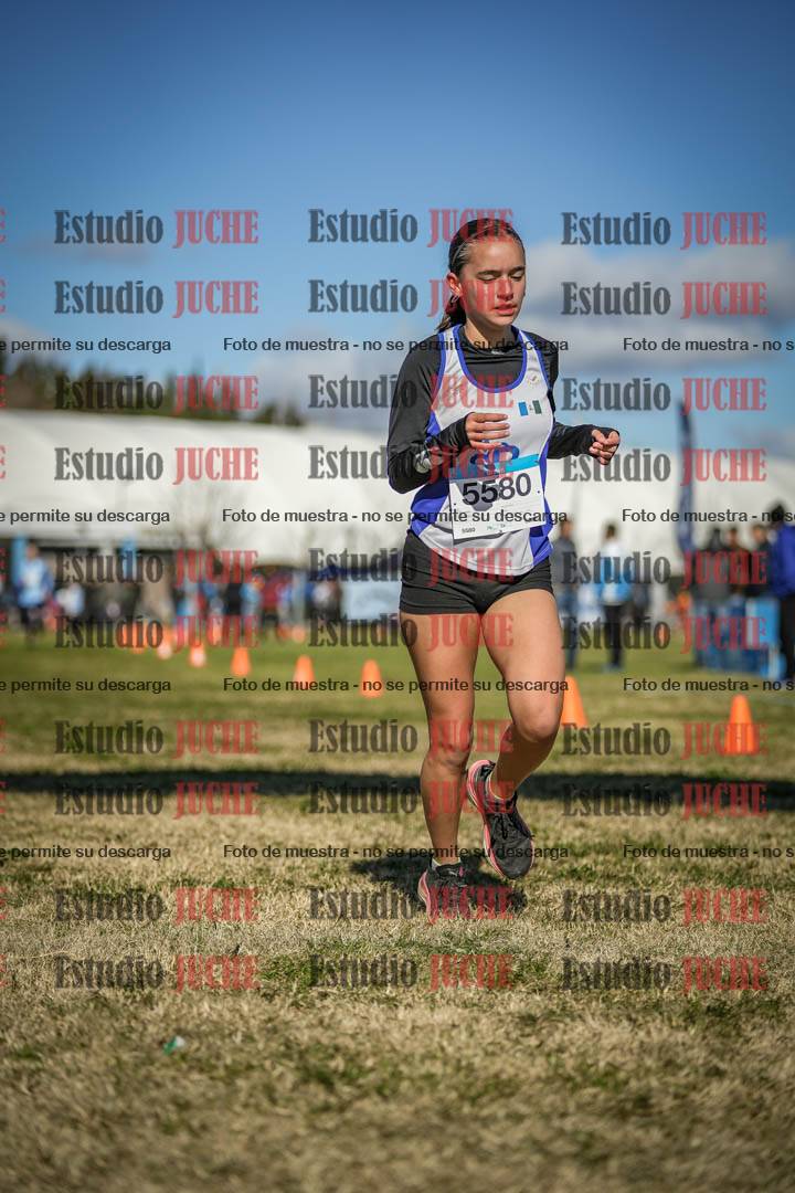 Fotos de las llegadas
