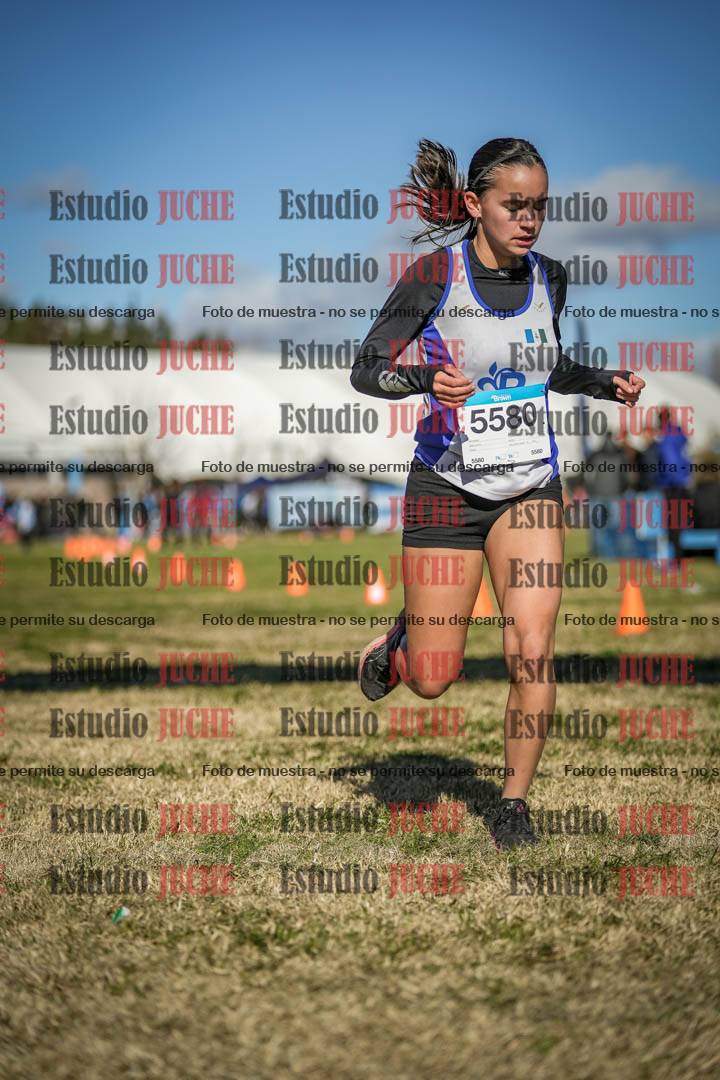 Fotos de las llegadas