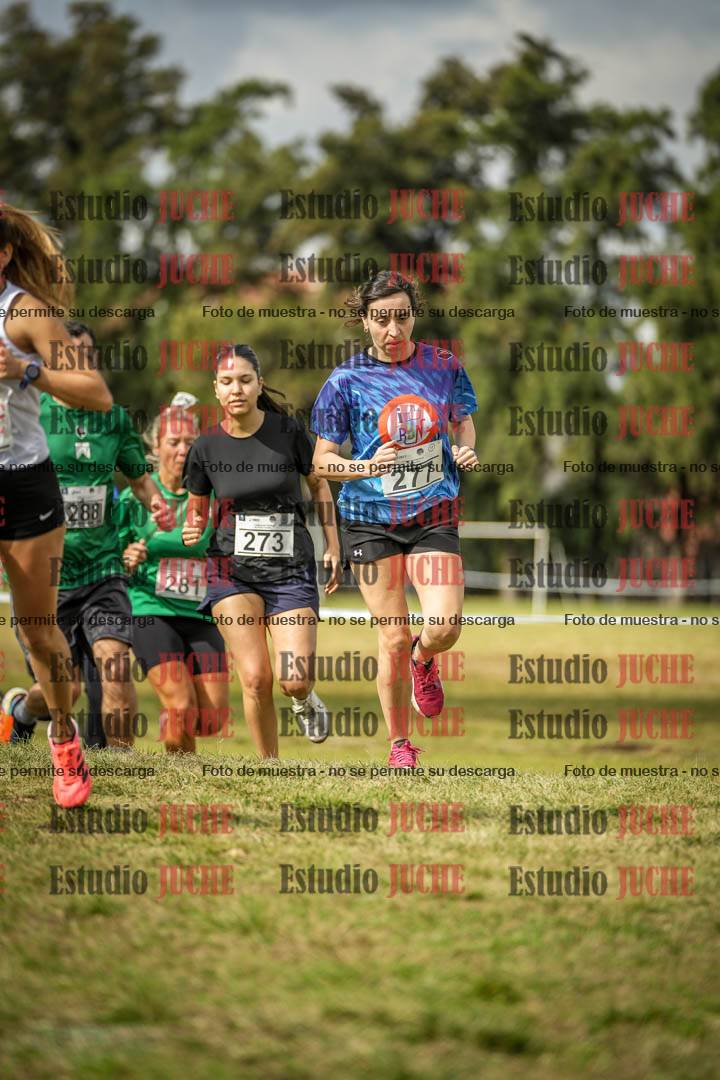 Fotos en el circuito