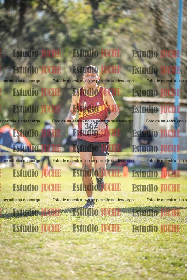 Fotos de la llegada del cross de 8000 m