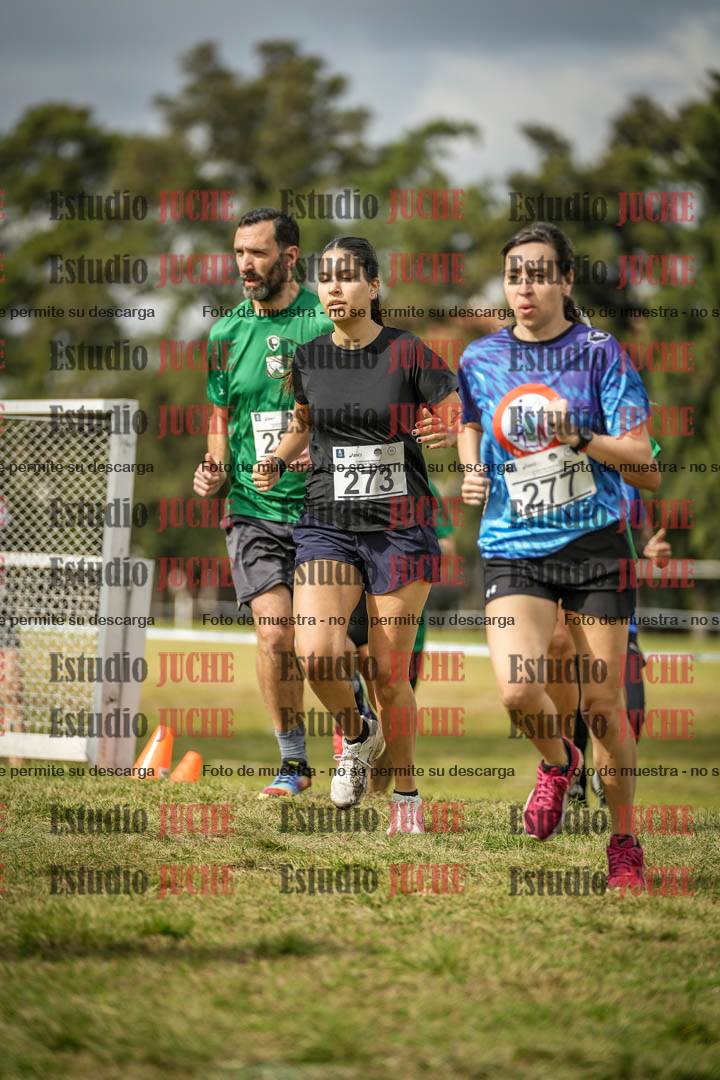 Fotos en el circuito