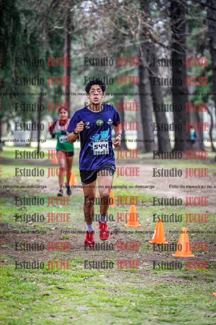 Fotos en el circuito