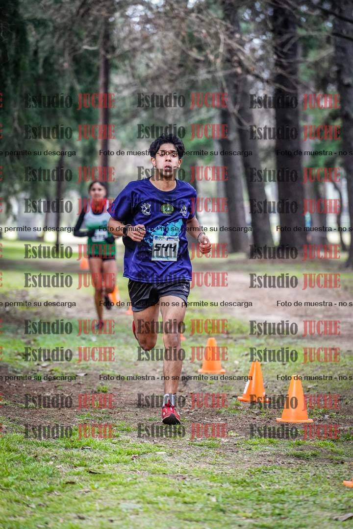 Fotos en el circuito