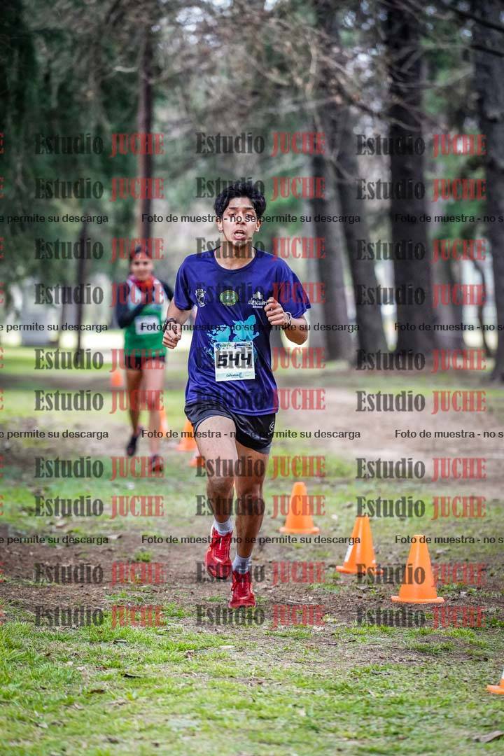 Fotos en el circuito