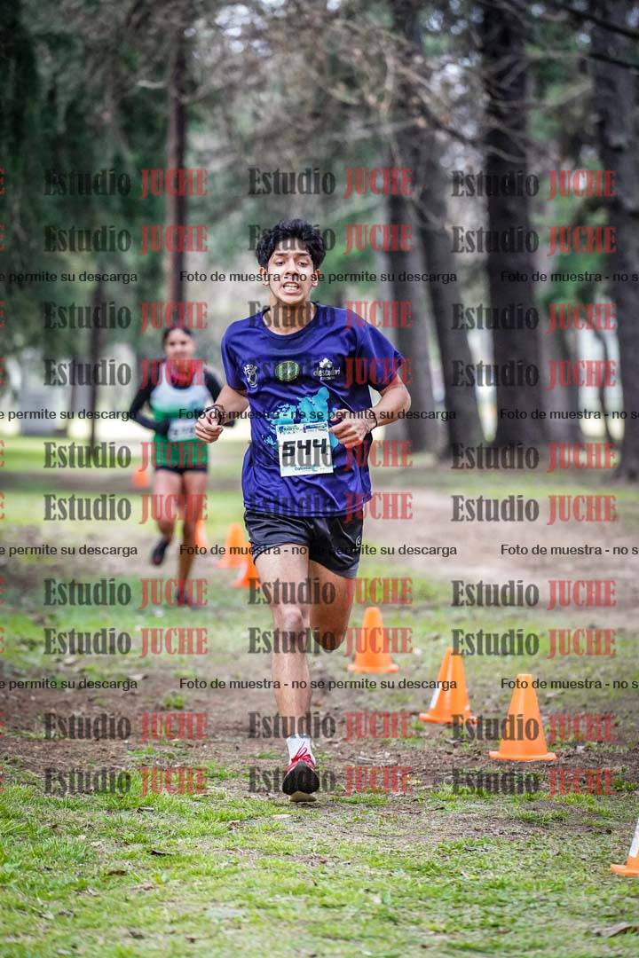 Fotos en el circuito