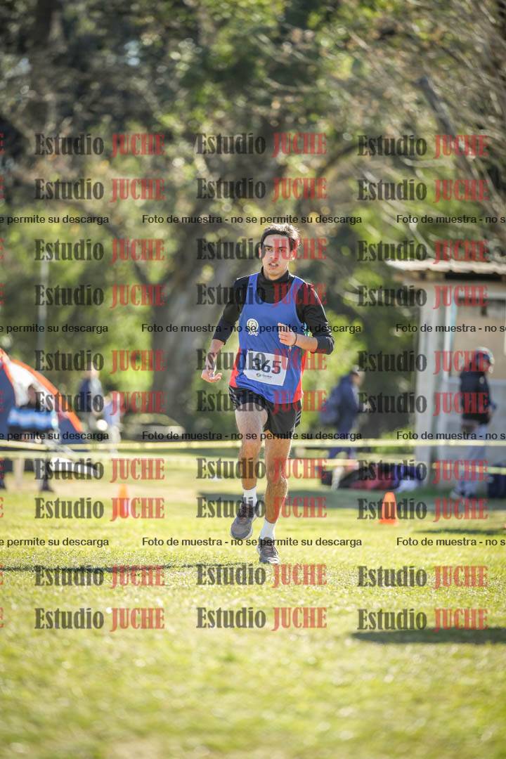 Fotos de la llegada del cross de 8000 m
