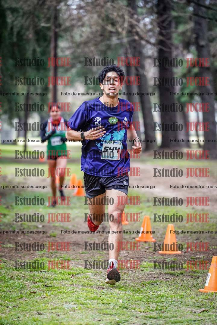 Fotos en el circuito