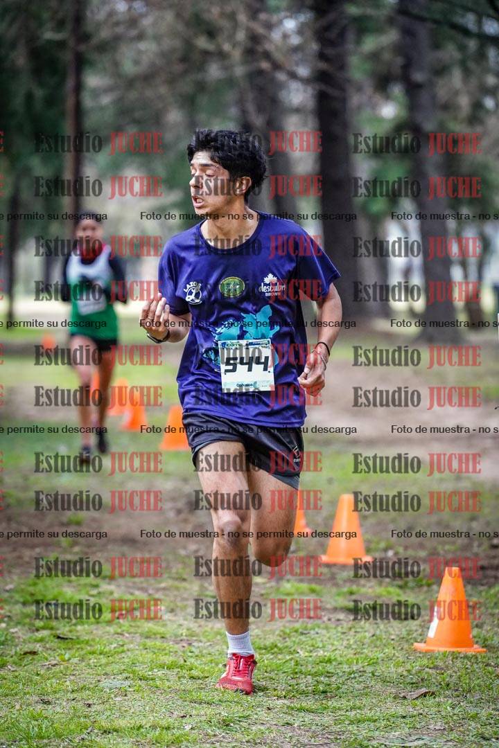 Fotos en el circuito